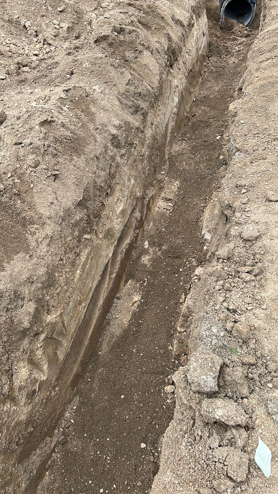 WhatsApp Image 2025-11-05 at 22.31.20 (1)