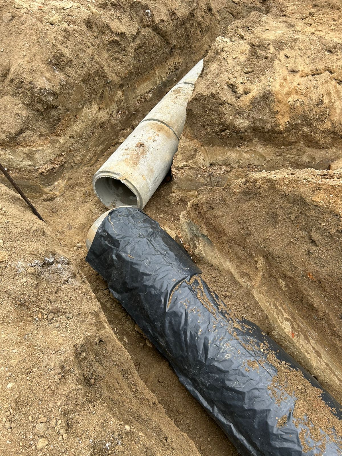 WhatsApp Image 2025-11-05 at 22.31.22